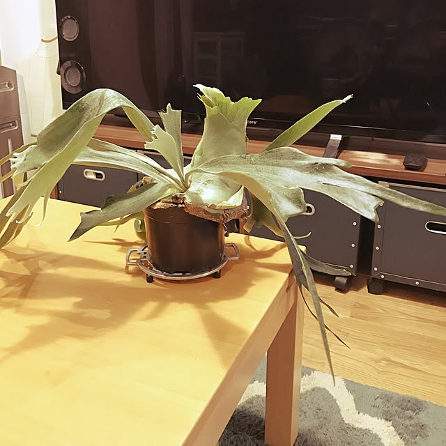 HECTさんの実例写真