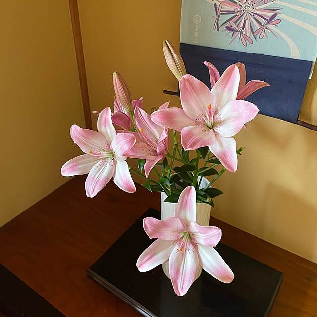 Fuku222さんの部屋