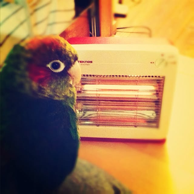 165さんの実例写真