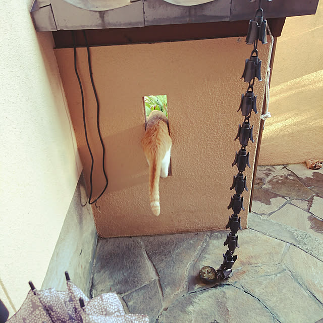 uchizukonyanさんの実例写真