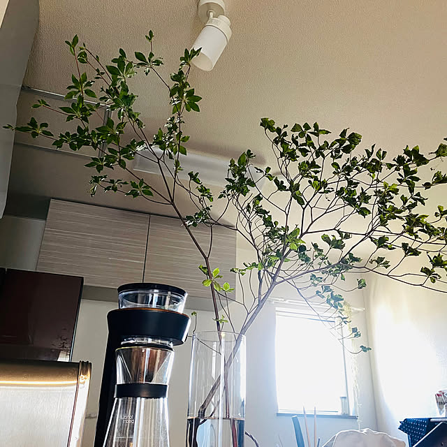 lulu1109さんの部屋