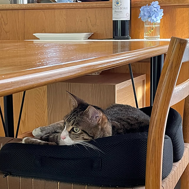 nobikoさんの実例写真
