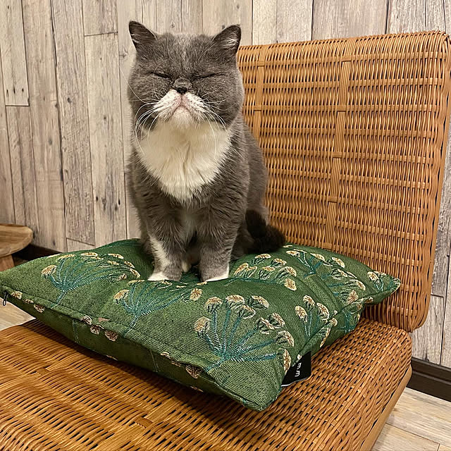 pecosukeさんの実例写真