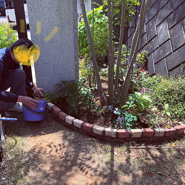 hatsugaさんの実例写真