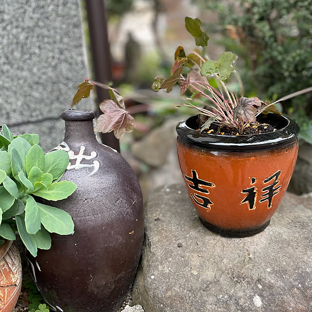 buchiさんの部屋