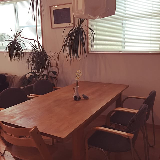 riiriiさんの実例写真