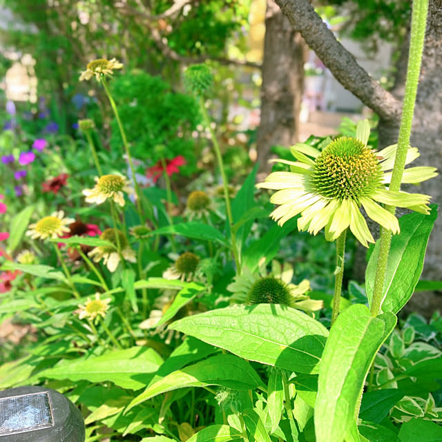 sunabaさんの部屋