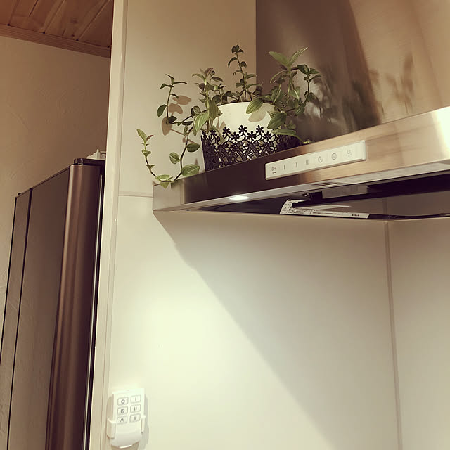 Masakingさんの実例写真