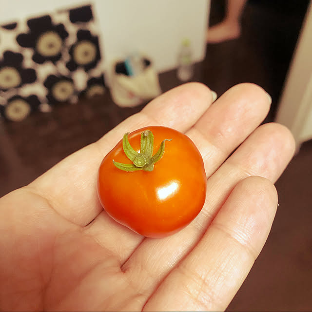 karenさんの実例写真