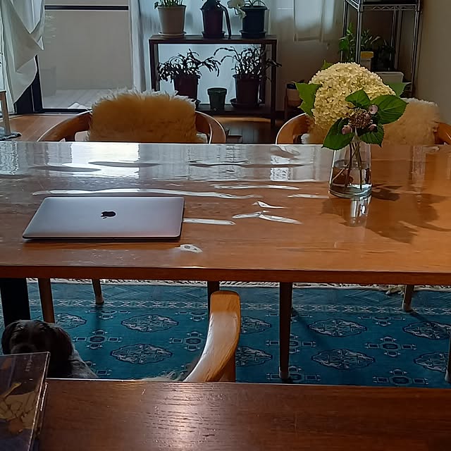 anzmama0404さんの部屋