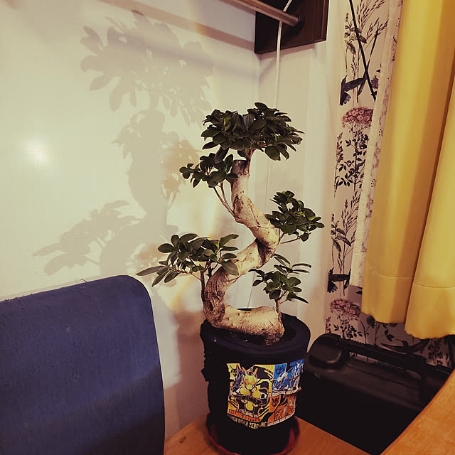 hanaparonさんの実例写真