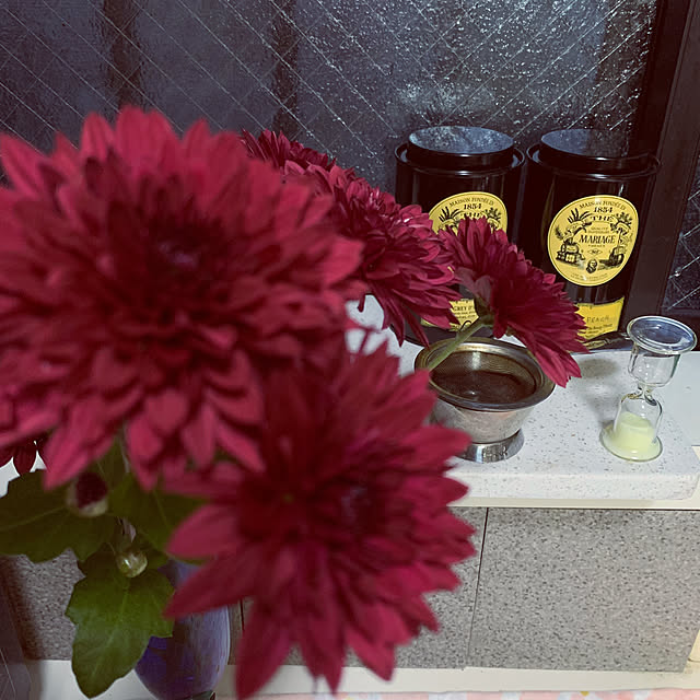kapiさんの部屋