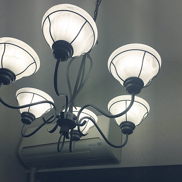 poyopoyolesser1さんの実例写真