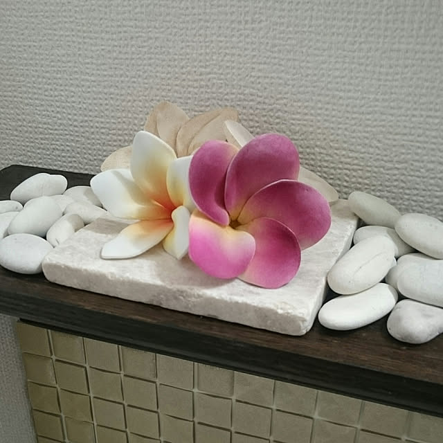 tonchiさんの実例写真