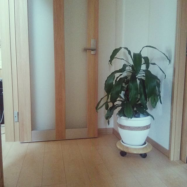 kakkinさんの実例写真