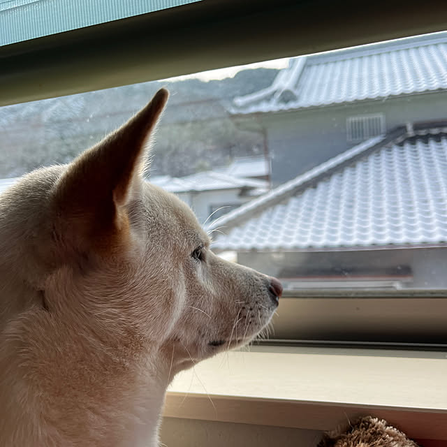 Toyomiさんの部屋