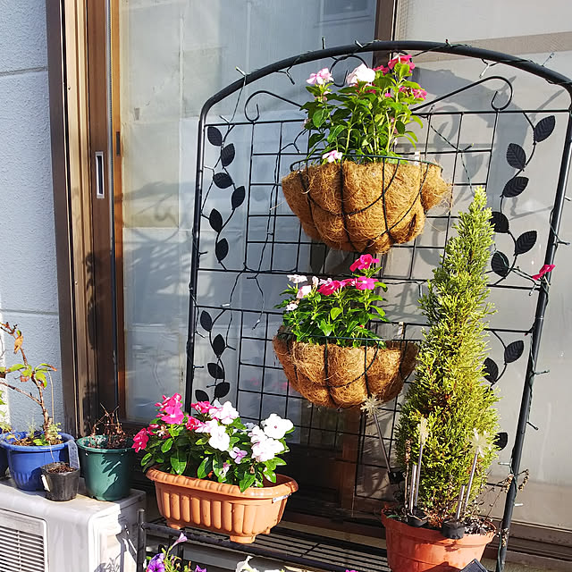 yumirinさんの実例写真