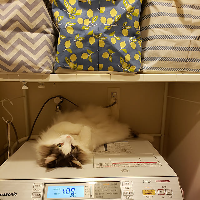 mofさんの実例写真