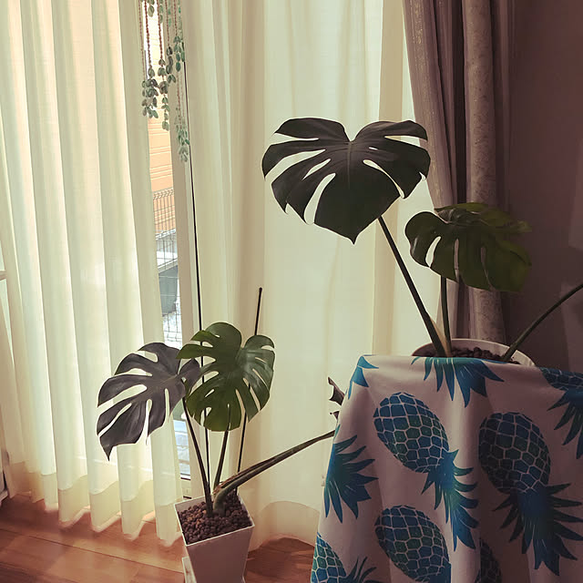 bluegreenさんの実例写真