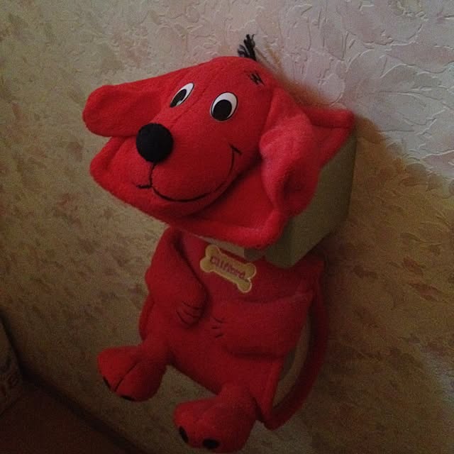 bhanglassyさんの実例写真