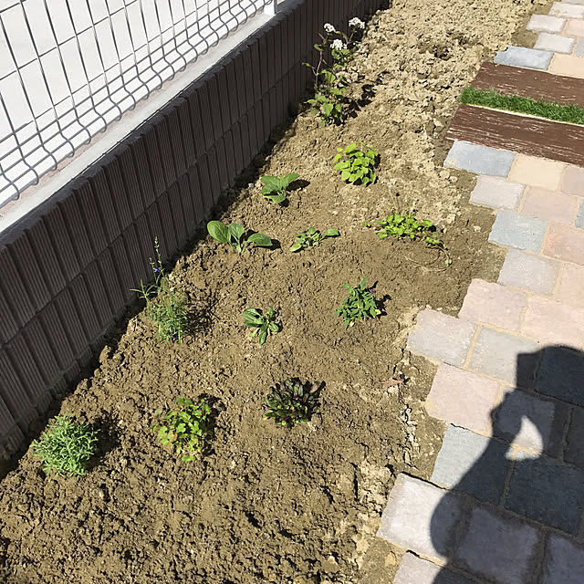 minamonta0307さんの実例写真