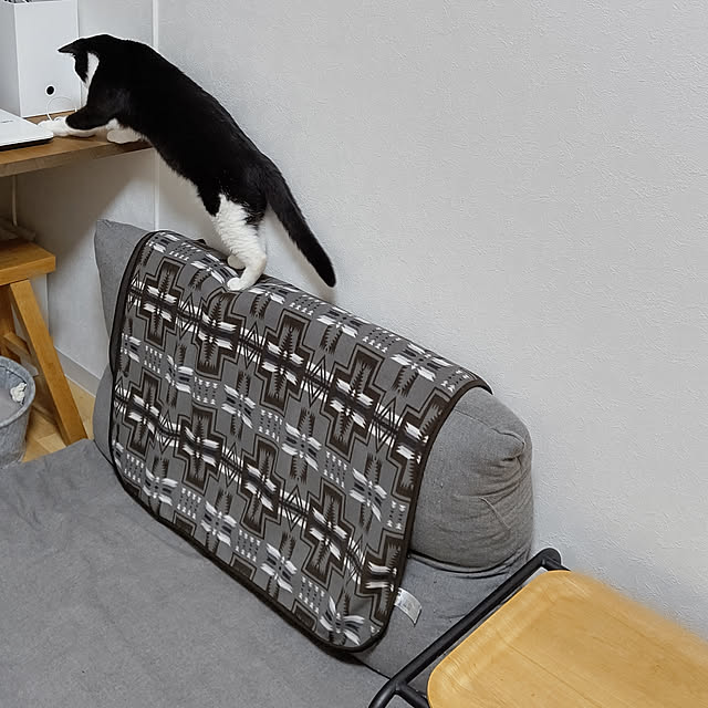 hihaさんの実例写真
