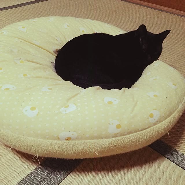 kuromiさんの実例写真