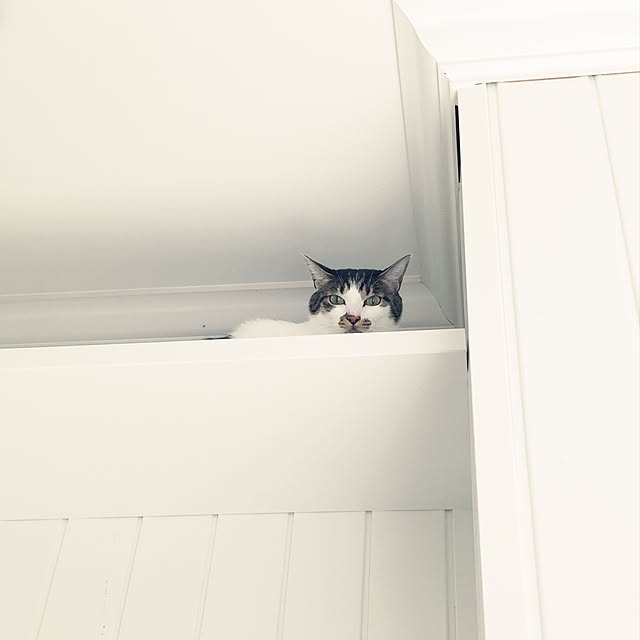 yuchiさんの実例写真