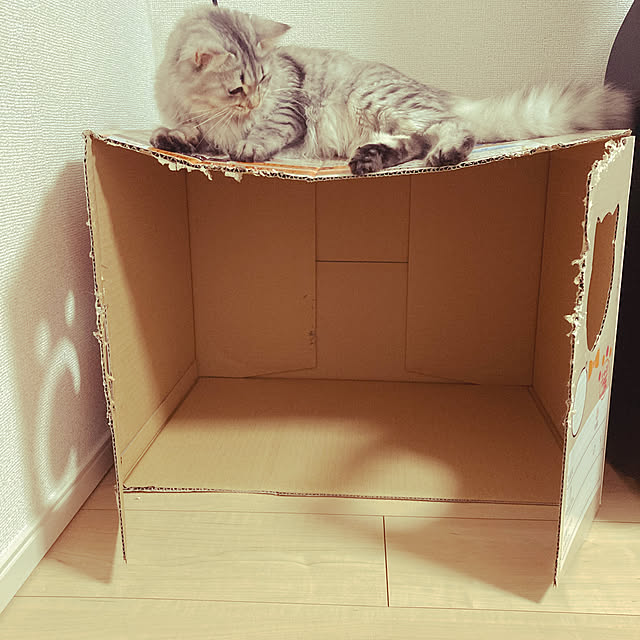kkkさんの実例写真