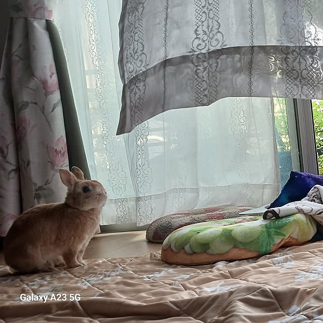 aiさんの実例写真