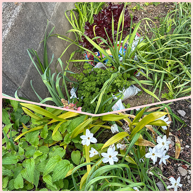 SIELUさんの部屋