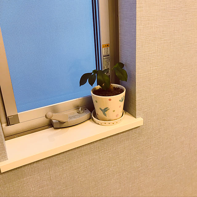 Kikiさんの実例写真