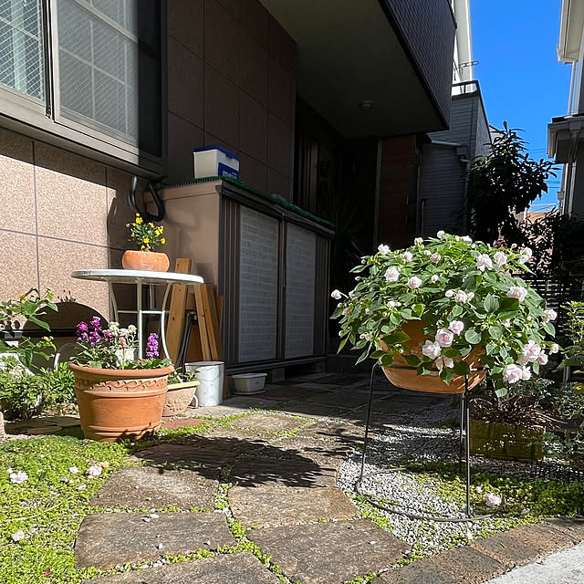 puriyuzuさんの実例写真