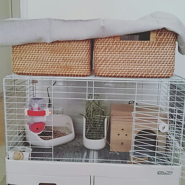 sumireさんの実例写真