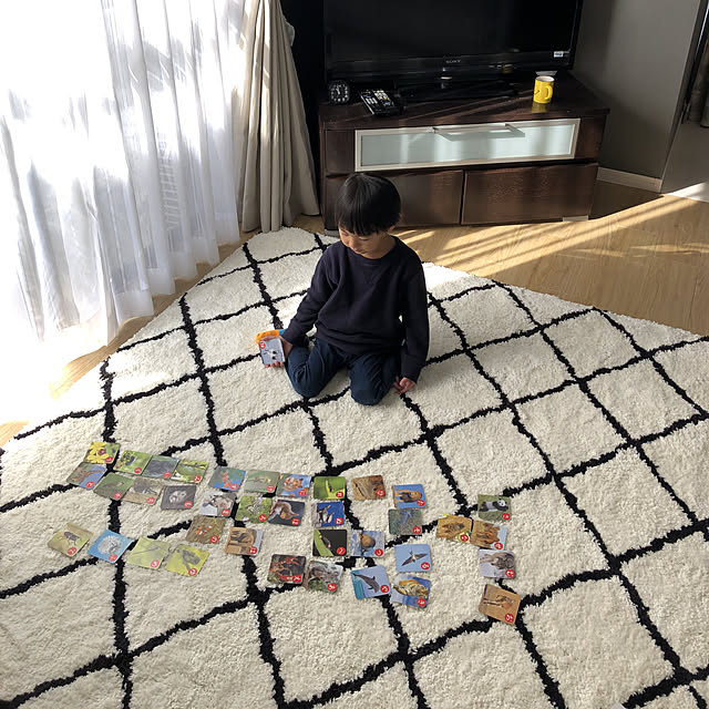 furuiouchiさんの実例写真