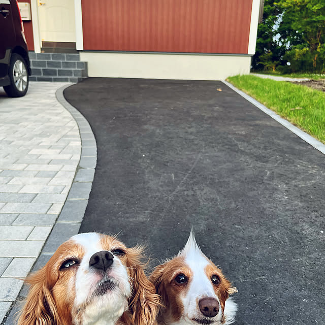 実例写真