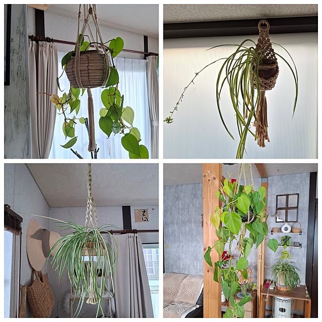 midoriさんの部屋