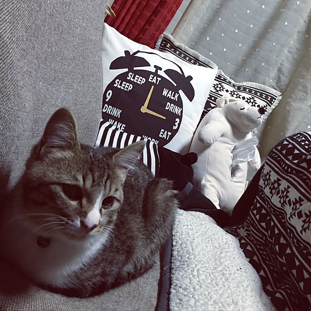 toranosukeさんの実例写真