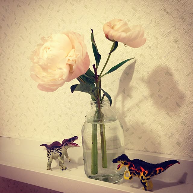Keikoさんの実例写真