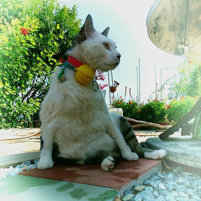 J.BOYさんの実例写真