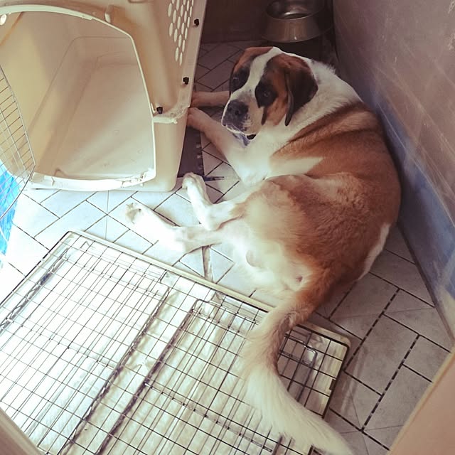yuriさんの実例写真