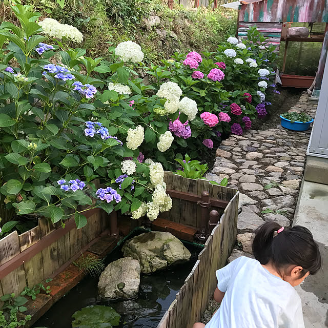 pepeさんの実例写真