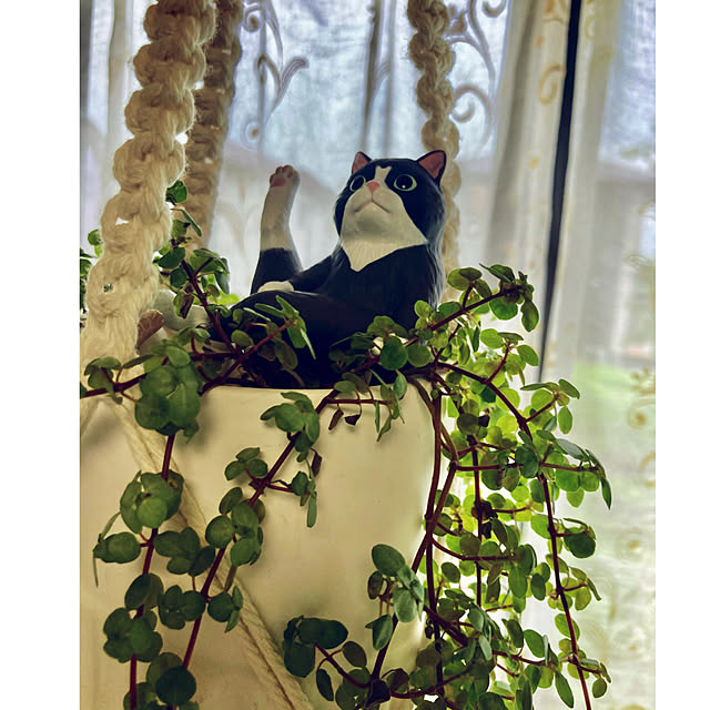 CoCo0617さんの実例写真