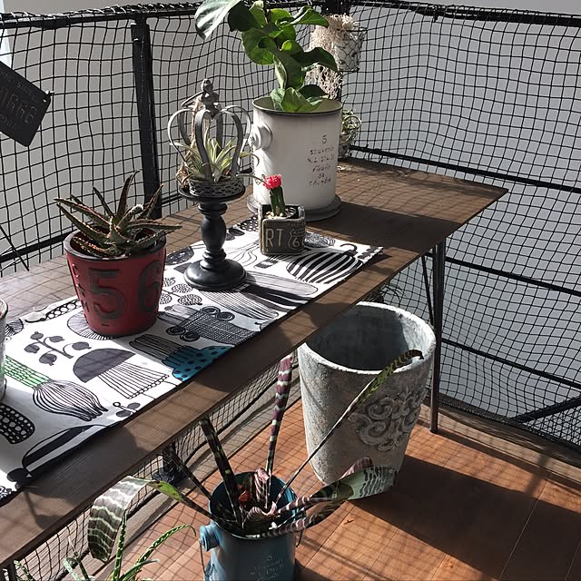 mio402さんの実例写真