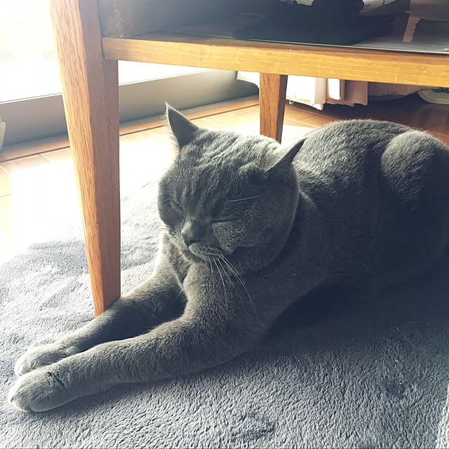 Shojiさんの実例写真