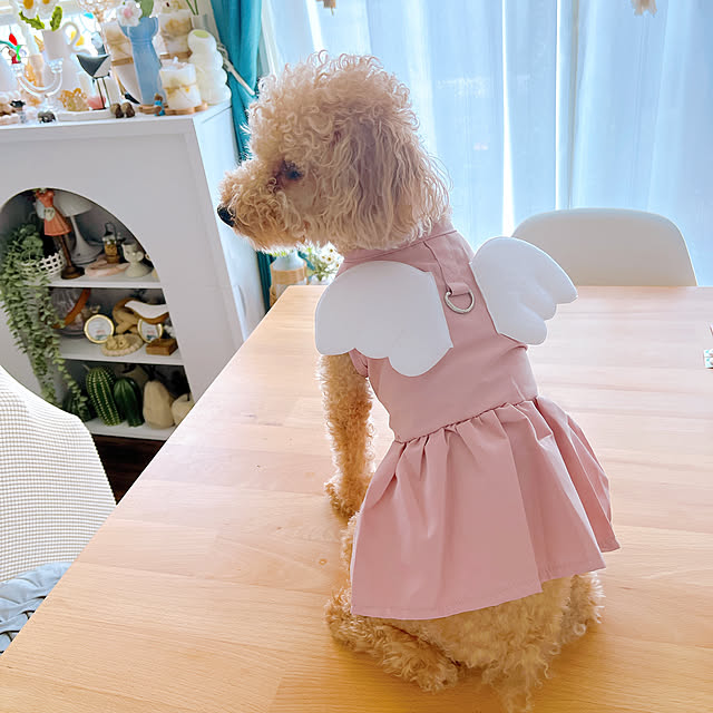 eriharuさんの部屋