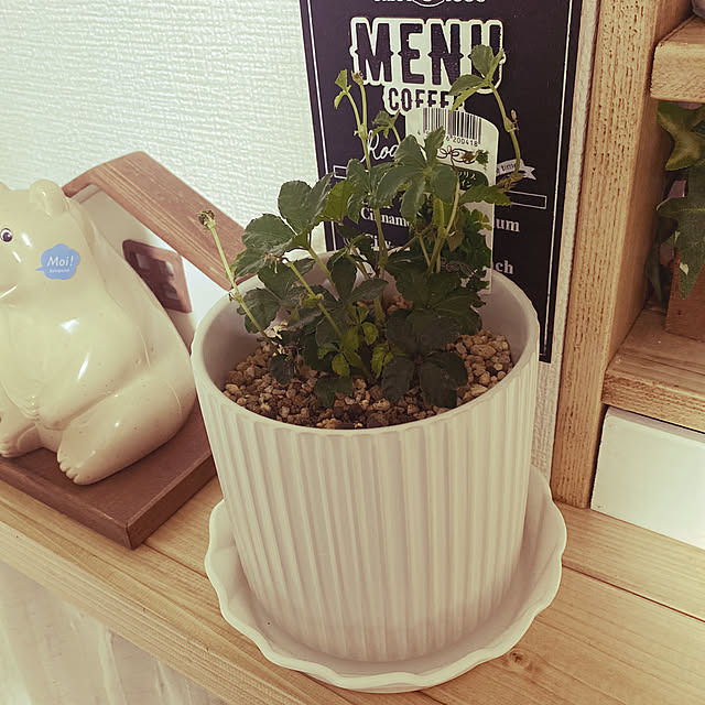 R.S.Kさんの実例写真