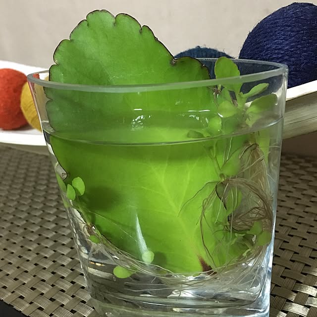 kasumiさんの実例写真