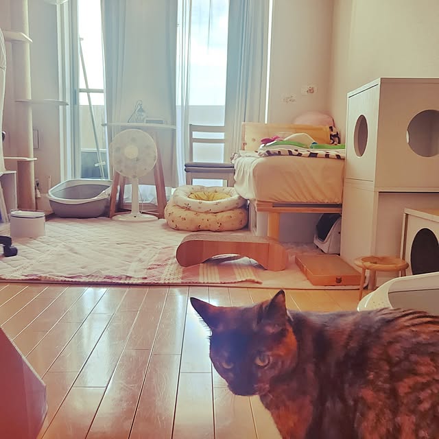 JIHYEさんの部屋