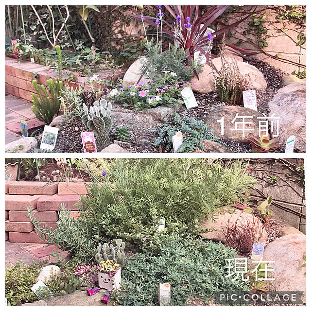 tararaさんの実例写真